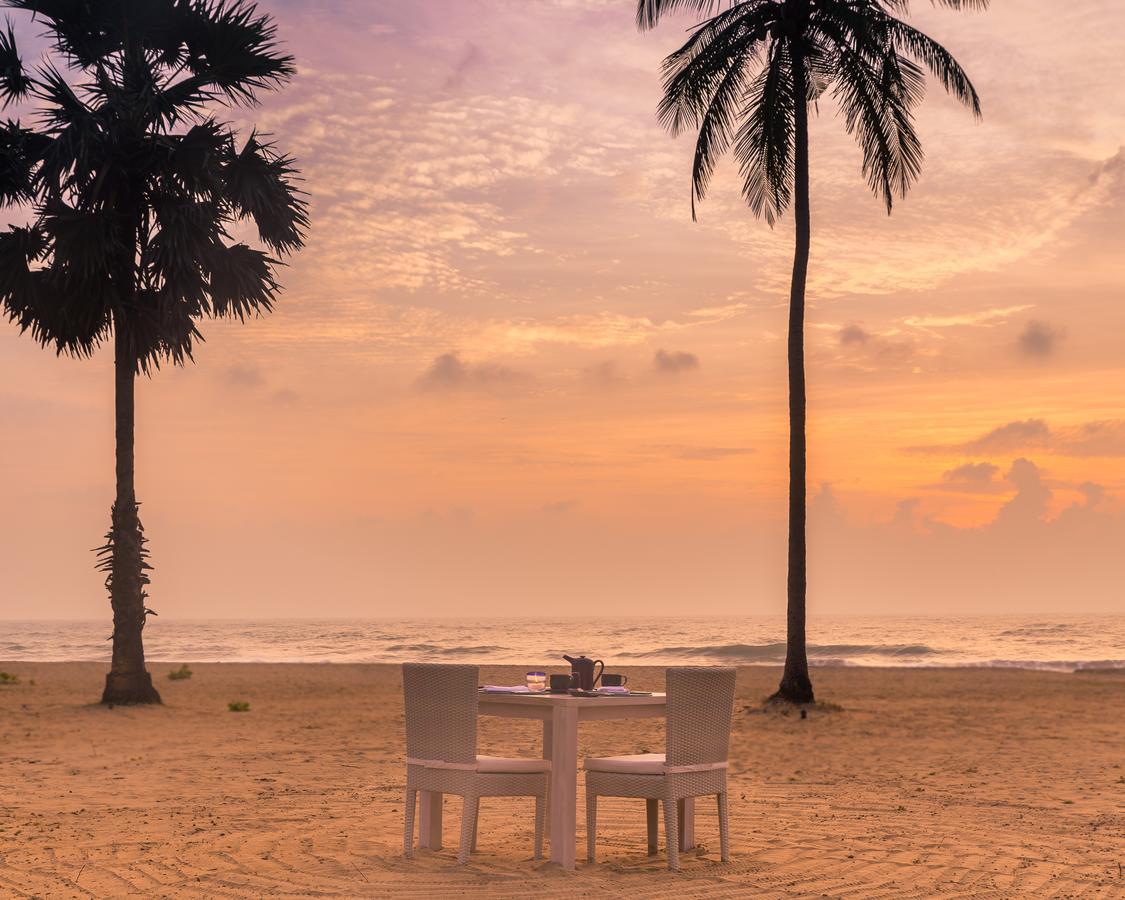 Jetwing Surf & Safari, A Luxury Reserve Baie d'Arugam Extérieur photo